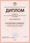 2025-2026 Насирова Камила 9л2 РО химия (Левина Э.М.)